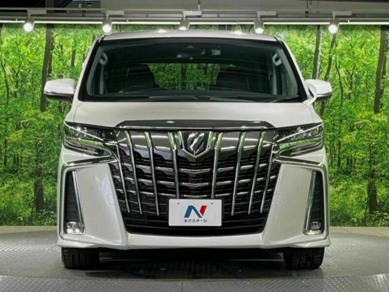 ALPHARD-14