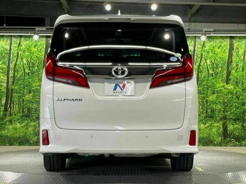 ALPHARD-15