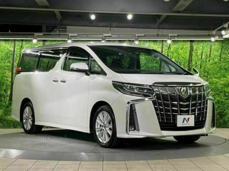 ALPHARD-16