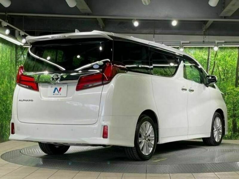 ALPHARD-17