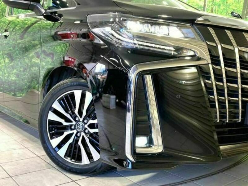 ALPHARD-12