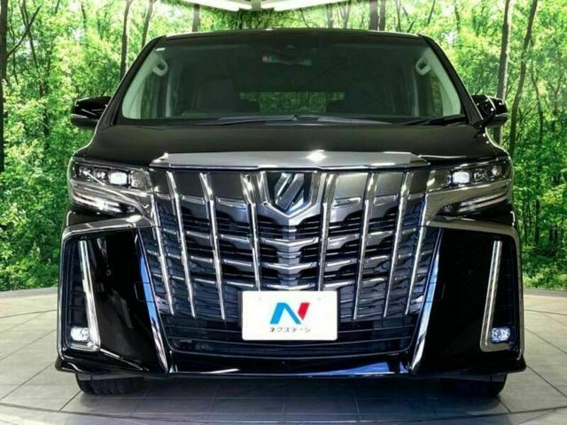 ALPHARD-15