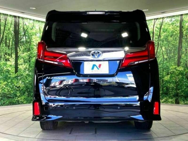 ALPHARD-16