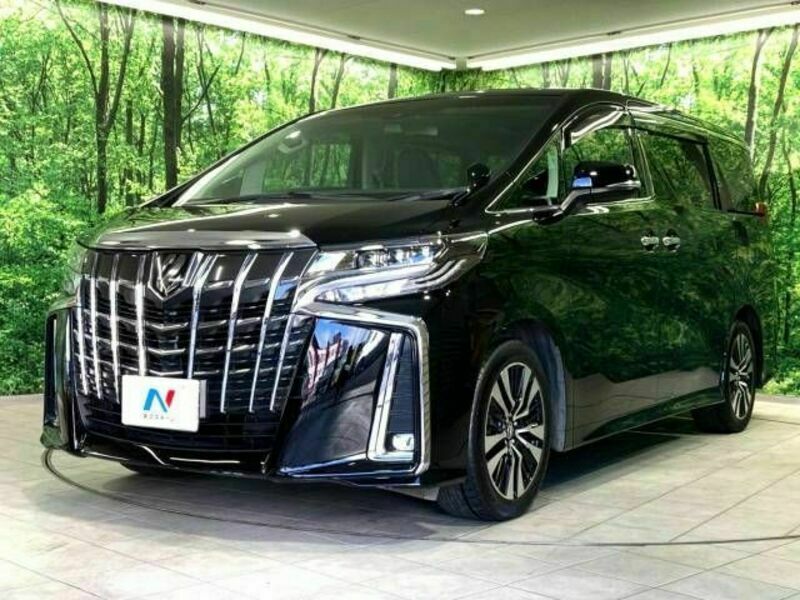 ALPHARD-17