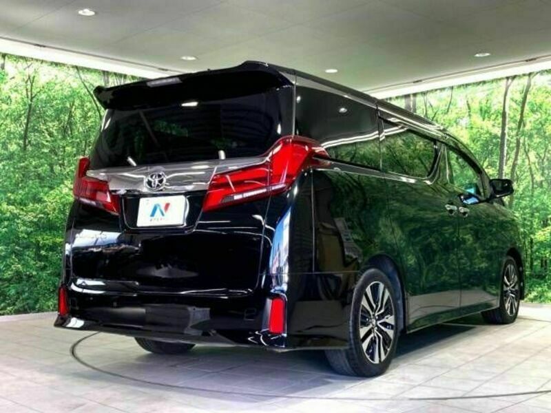 ALPHARD-18