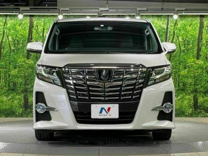 ALPHARD-16