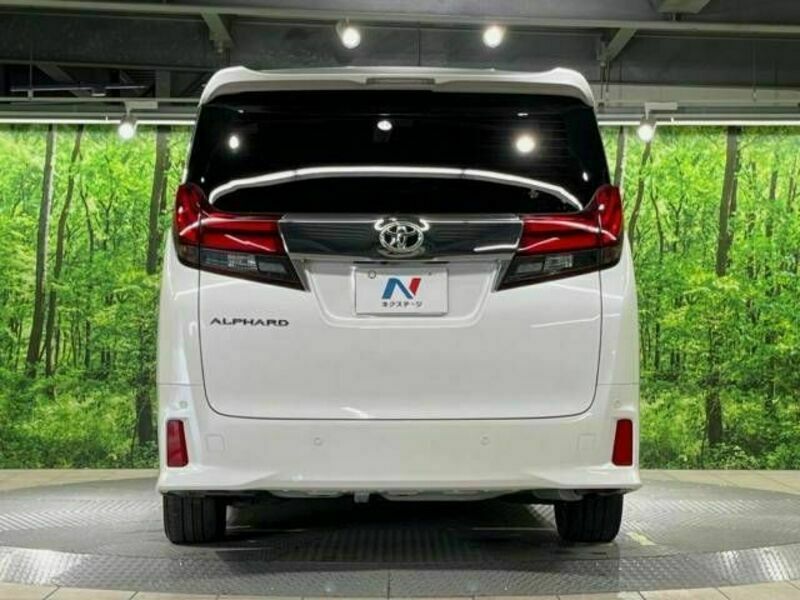 ALPHARD-17