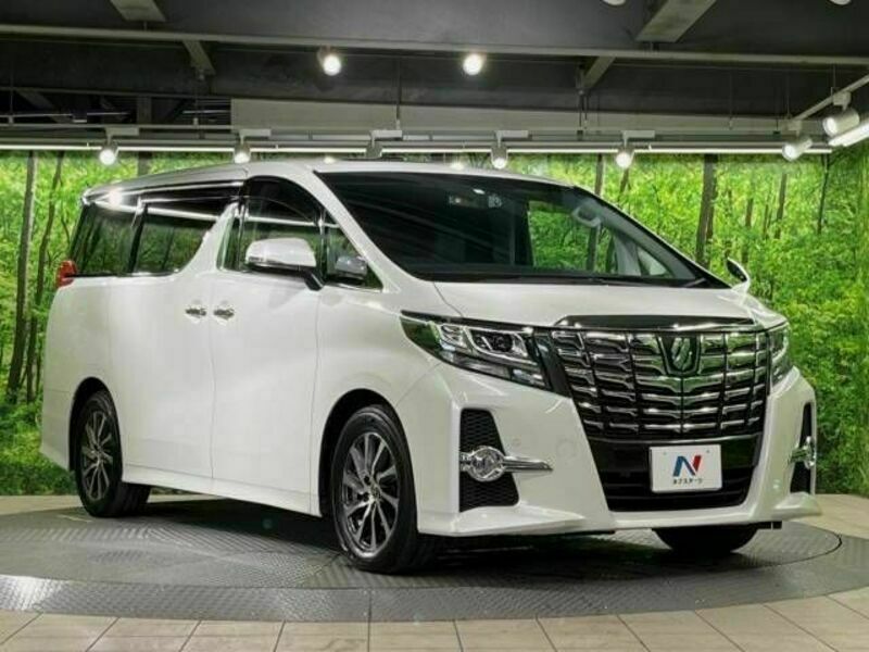 ALPHARD-18