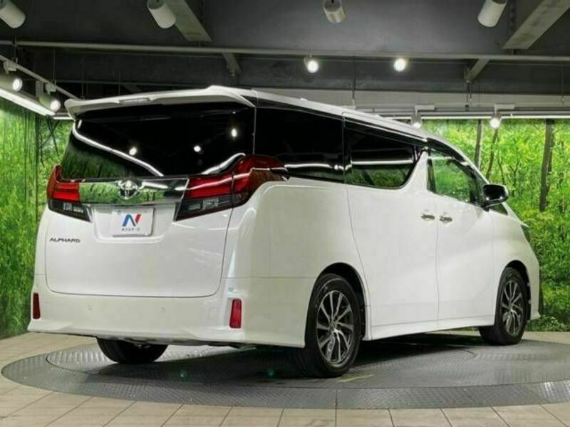 ALPHARD-19