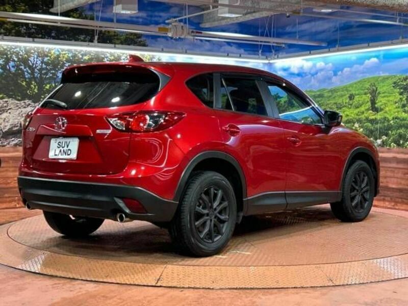 CX-5-17