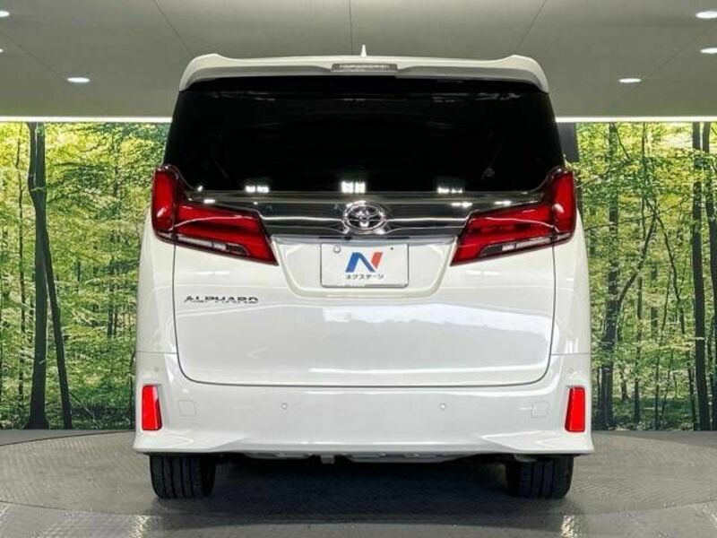 ALPHARD-16