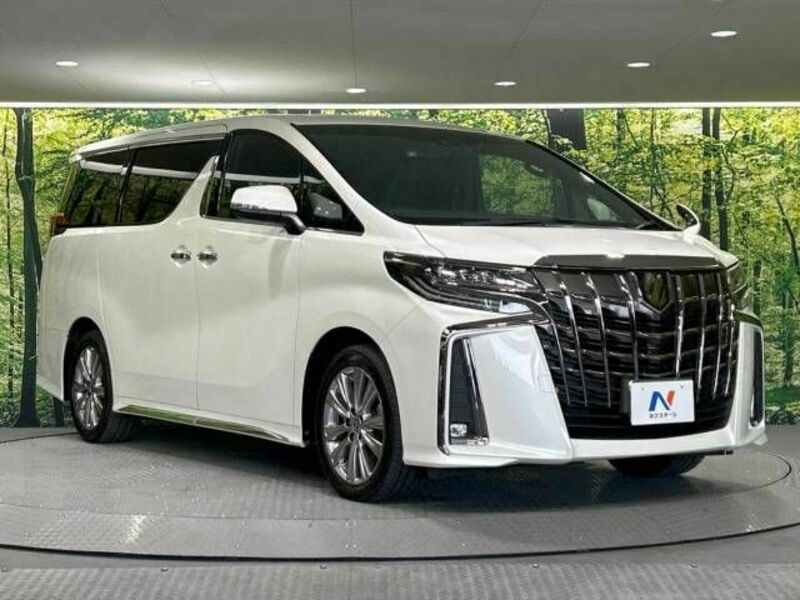 ALPHARD-17