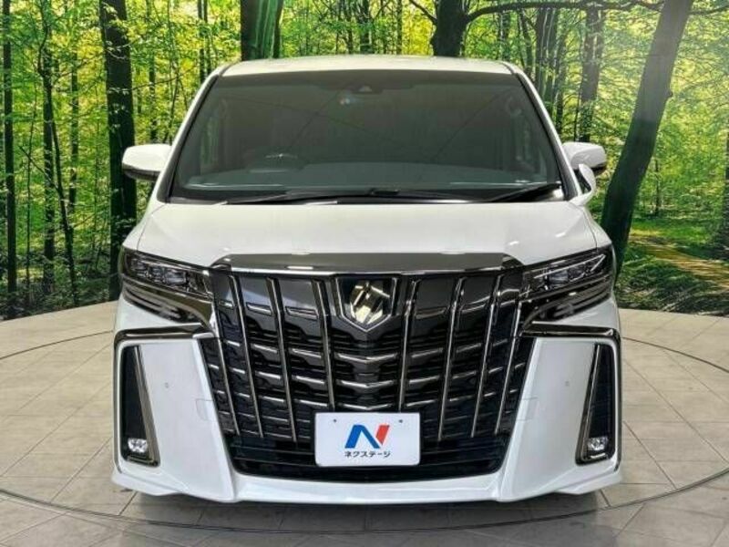 ALPHARD-15