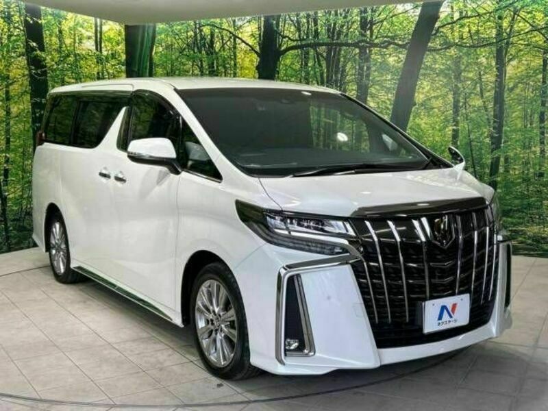 ALPHARD-17