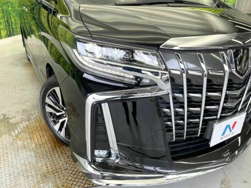 ALPHARD-13