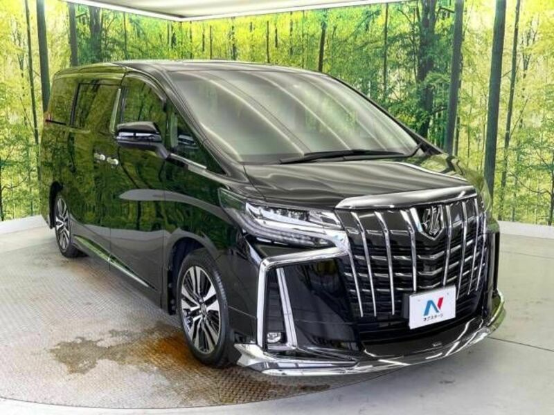 ALPHARD-17