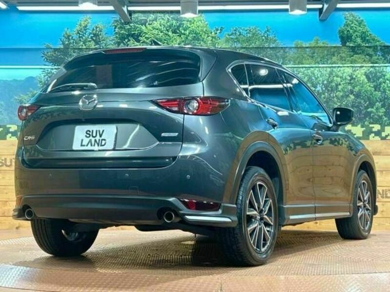 CX-5-17