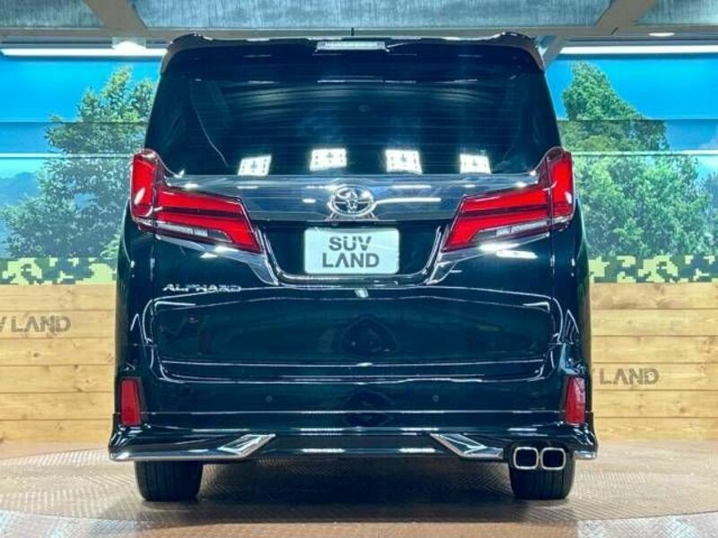 ALPHARD-15