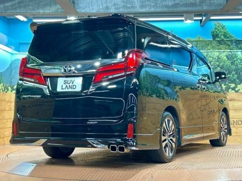 ALPHARD-17