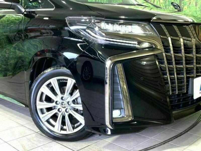 ALPHARD-13