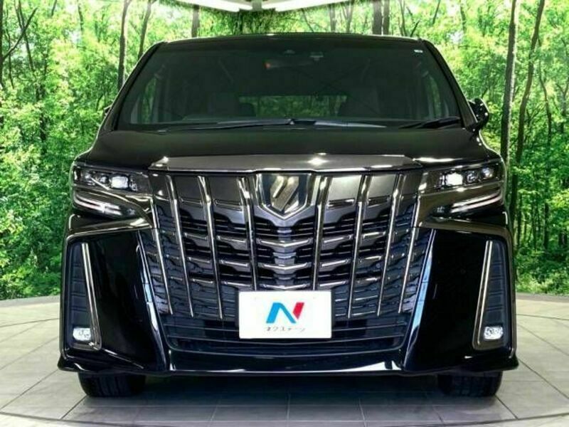 ALPHARD-15