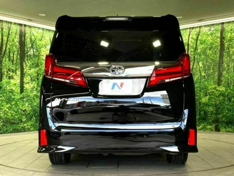 ALPHARD-16