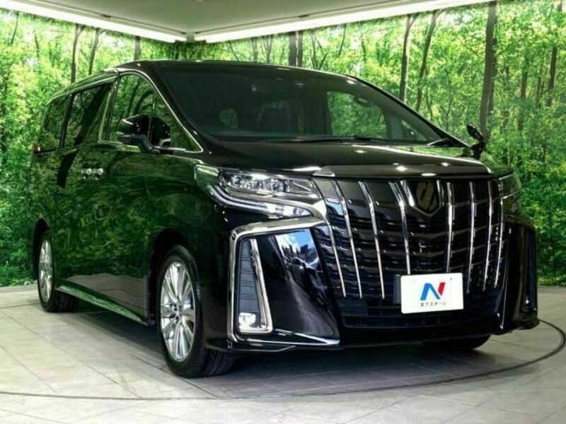 ALPHARD-17