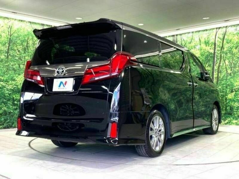 ALPHARD-18