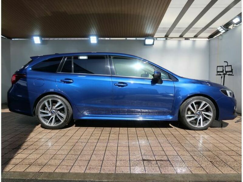 LEVORG-6