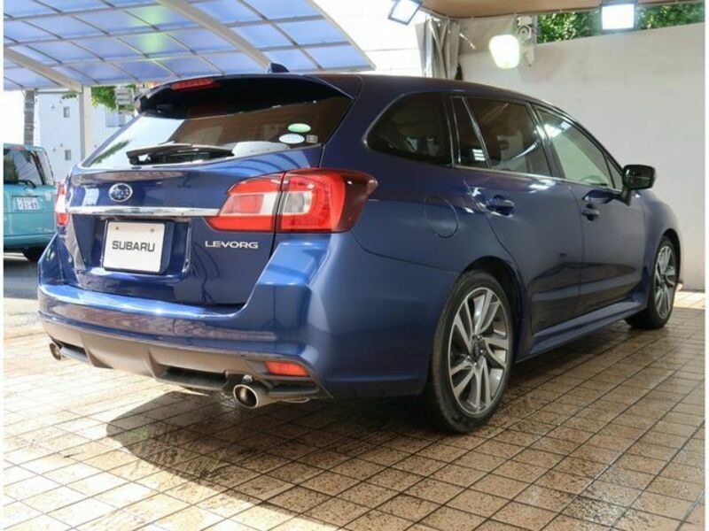 LEVORG-20