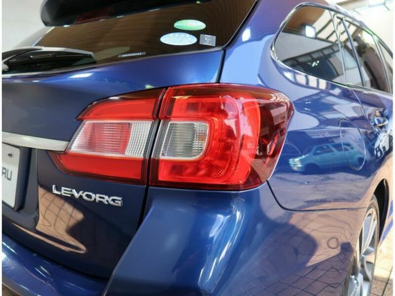 LEVORG-26