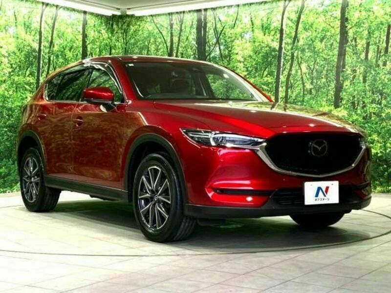 CX-5-16