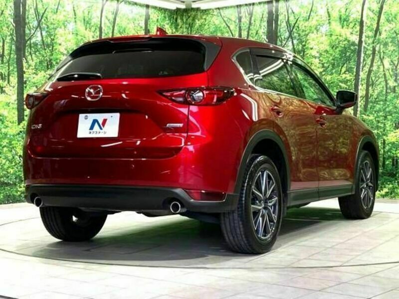 CX-5-17