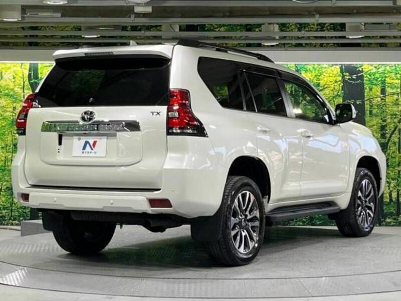 LAND CRUISER PRADO-18