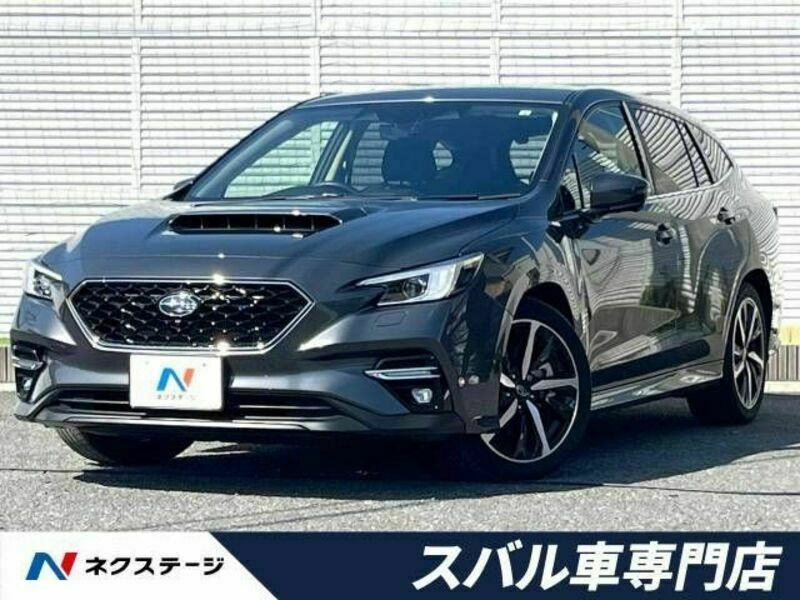 LEVORG-0