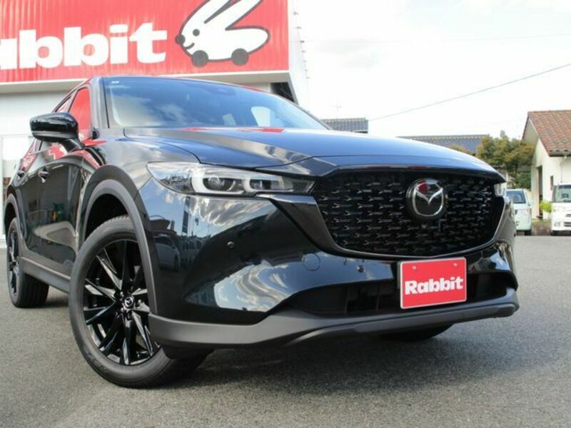 CX-5-3