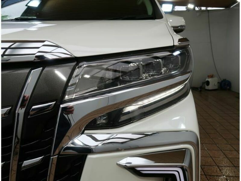 ALPHARD-26