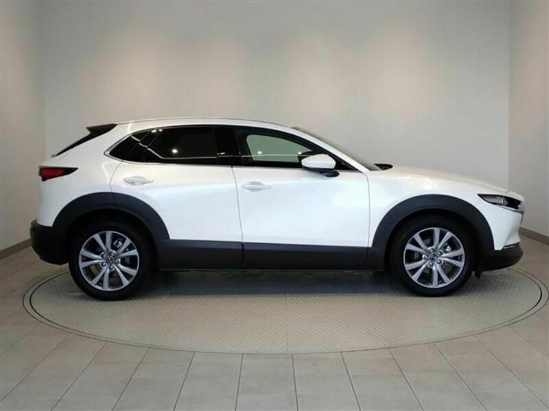 CX-30-29