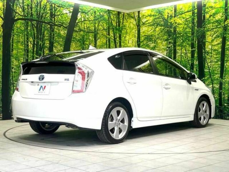 PRIUS-17