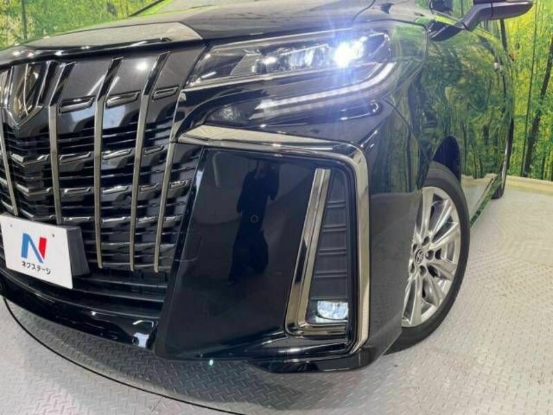 ALPHARD-13