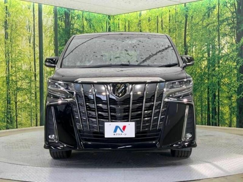 ALPHARD-15