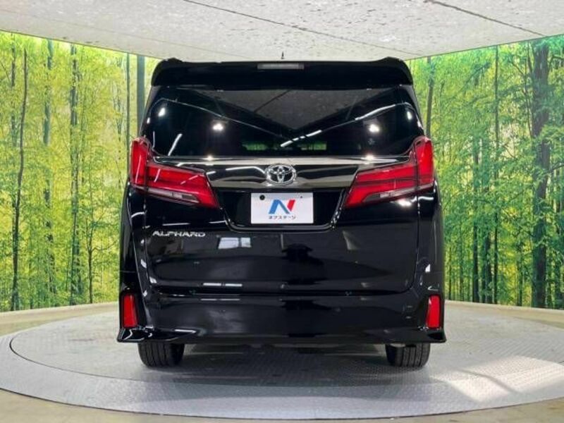 ALPHARD-16