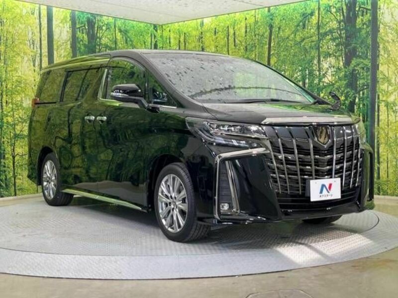 ALPHARD-17