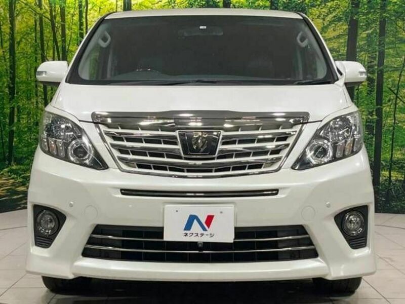 ALPHARD-14