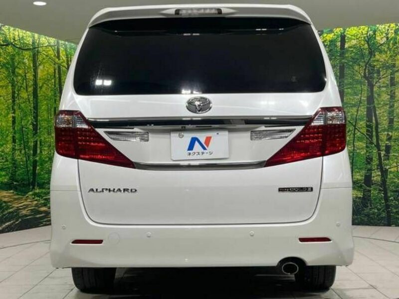 ALPHARD-15