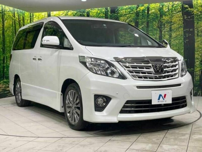 ALPHARD-16