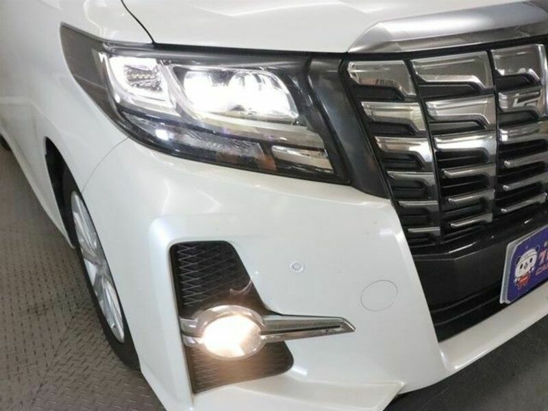 ALPHARD-27