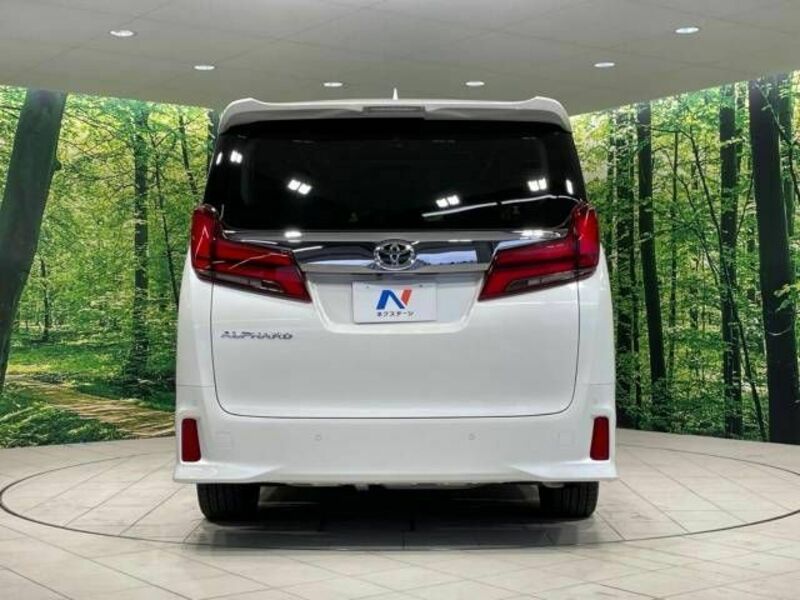 ALPHARD-16