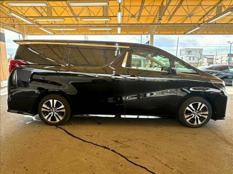 ALPHARD-16