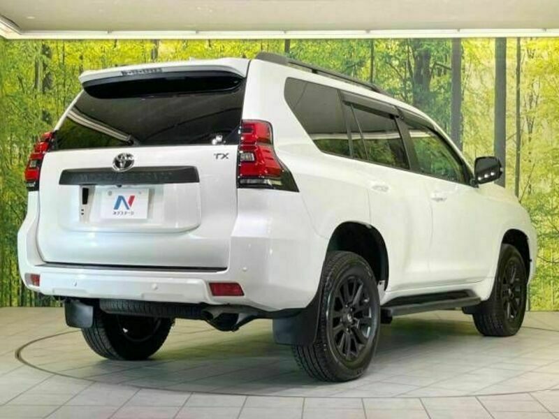 LAND CRUISER PRADO-17